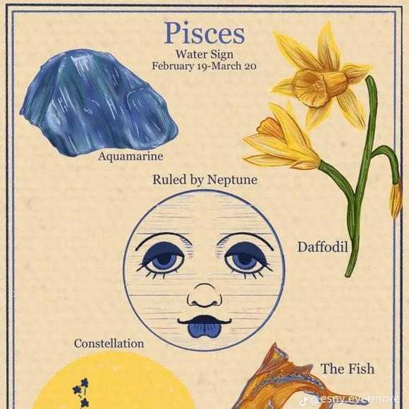 Meet your Posher, Clara - Picture 1 of 1